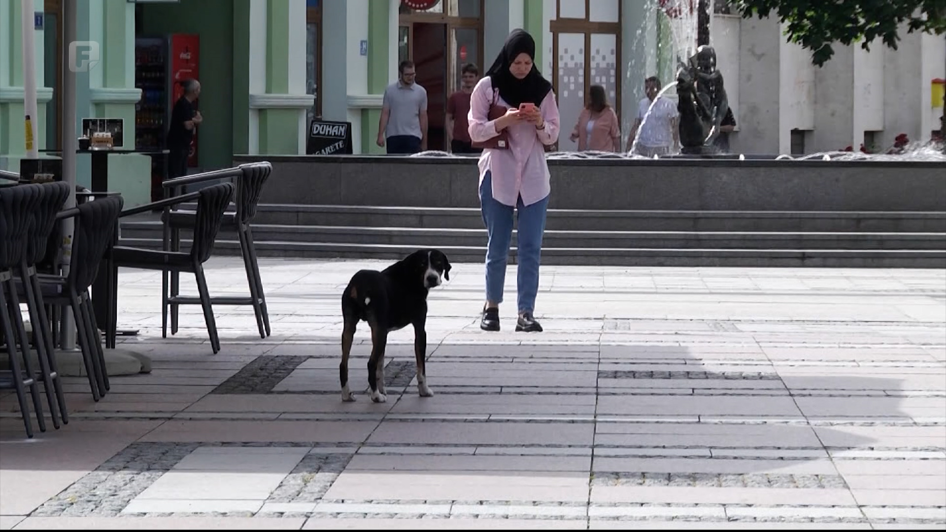 Ulice Brčkog pune pasa lutalica, u azilu za 300 boravi ih 500
